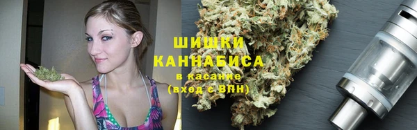 твердый Алзамай