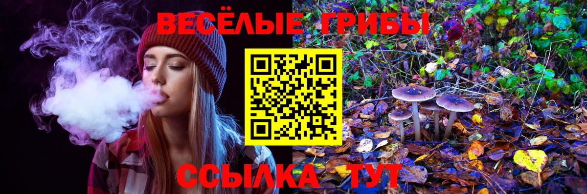 Галлюциногенные грибы мухоморы  Вход с VPN  Самара 